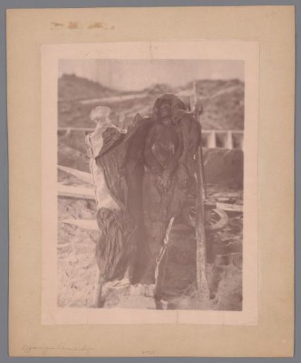 Mummy in a coffin