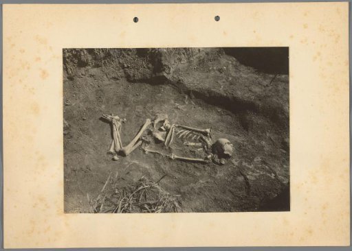 Skeleton, found at archaeological excavations in Hungary