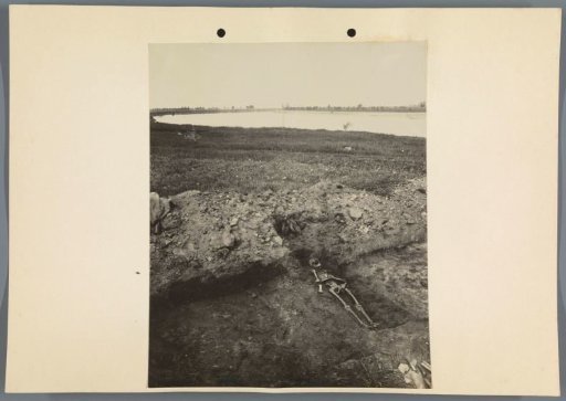 Skeleton, found during archaeological excavations in Hungary