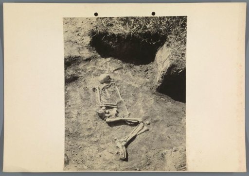 Skeleton, found during archaeological excavations in Hungary