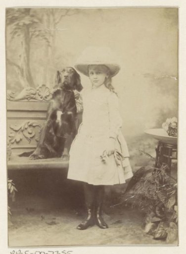 Portrait of Wilhelmina, Queen of the Netherlands
