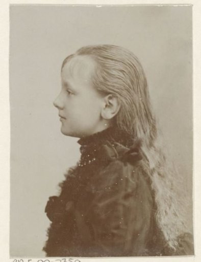 Portrait of Wilhelmina, Queen of the Netherlands, in mourning dress
