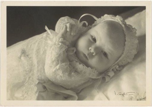 Portrait of Beatrix, Queen of the Netherlands