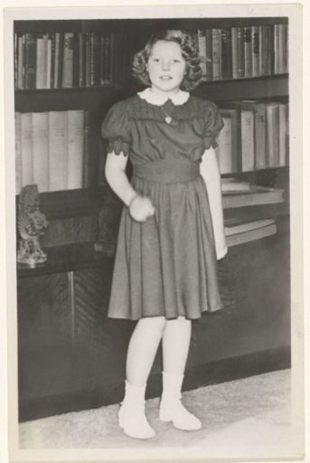 Portrait of Beatrix, Queen of the Netherlands