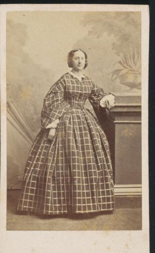 Portrait of a Young Woman in a Long Plaid Dress
