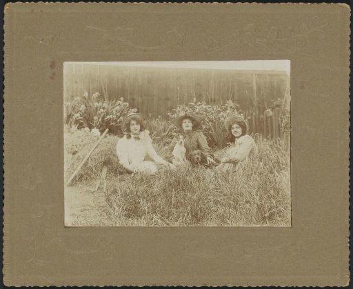 Portrait of three women with hats and two dogs on a lawn