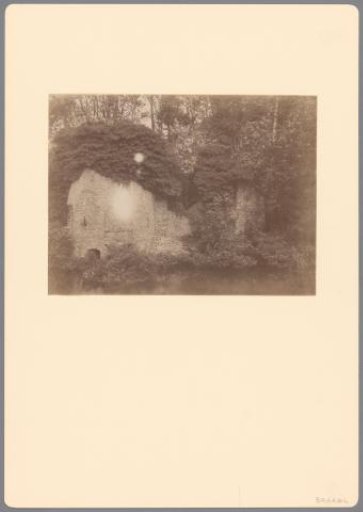 Ruins of Brakel Castle