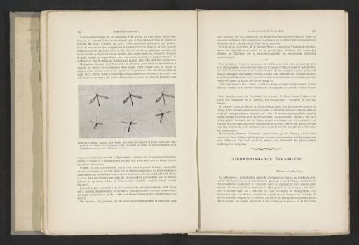Six Long-legged Flies