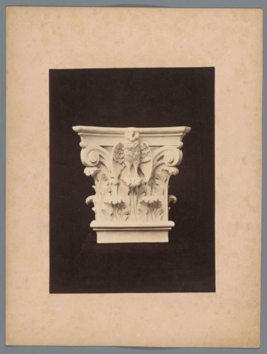 Capital with acanthus leaves and an owl