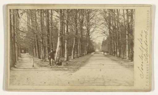 Society Avenue in the Asserbosch