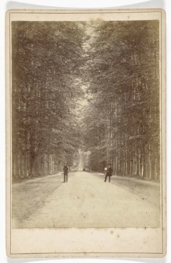 Forest avenue (Middachter allée) near De Steeg