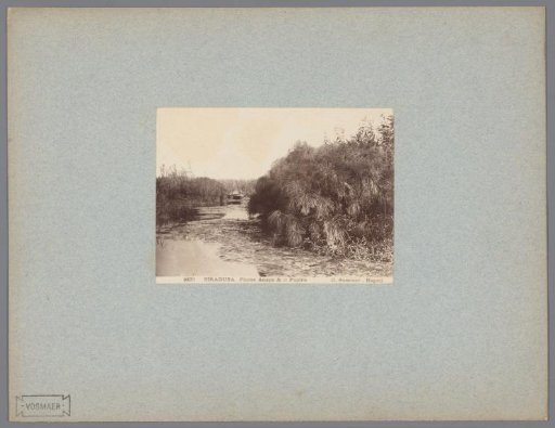 Rowing boat on the Anapo river near Syracuse, Sicily