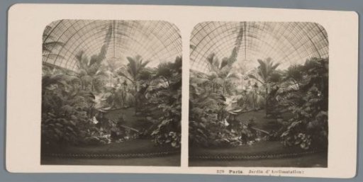 Interior of a Greenhouse in the Jardin d'Acclimatation in Paris