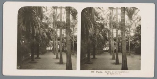 Palm garden in the Jardin d'Acclimatation in Paris