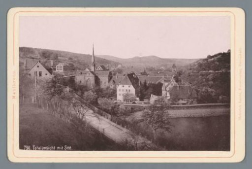 View of Maulbronn