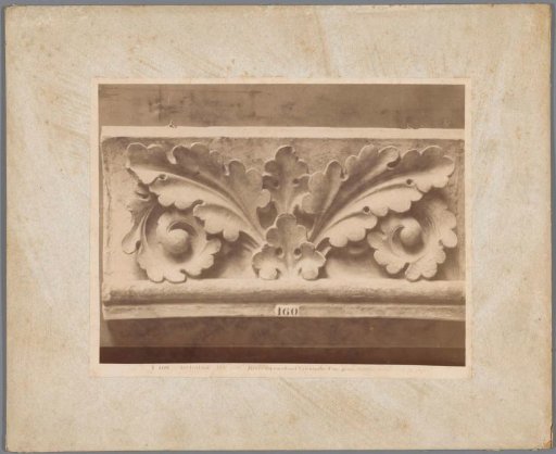 Cast of a fragment of an archivolt decorated with a leaf motif