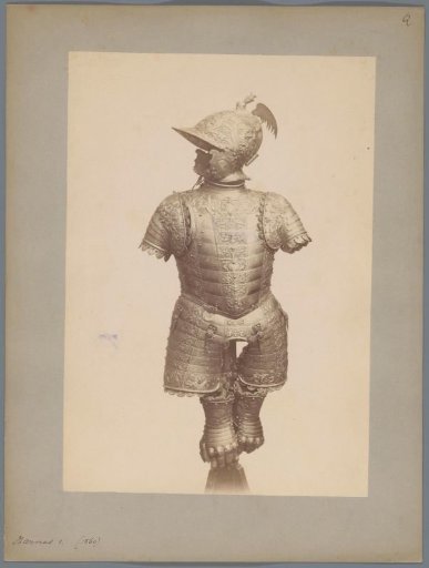 Harness with helmet
