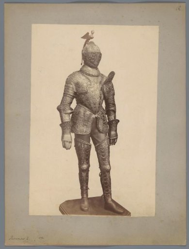 Harness with helmet