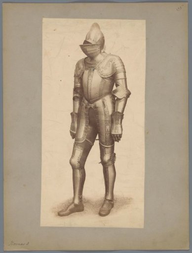 Harness with helmet