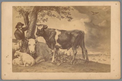 Photographic reproduction of a print after the painting 'The Young Bull' by Paulus Potter