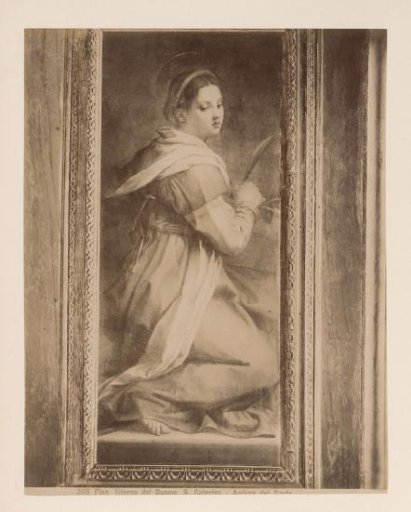 Photoreproduction of a painting of Saint Catherine of Alexandria after Andrea del Sarto in the Cathedral of Pisa, Italy