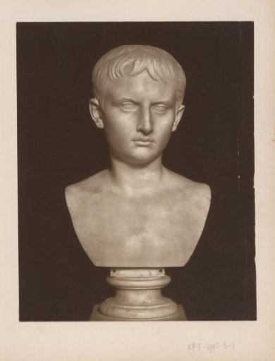 Bust of a young man