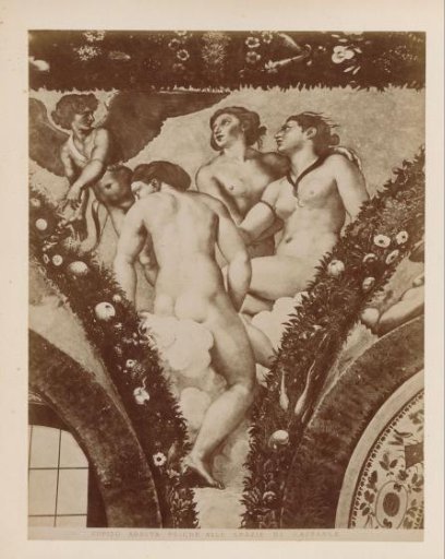 Photographic reproduction of fresco Cupid shows Psyche to the Graces by Raphael in the Farnesina in Rome