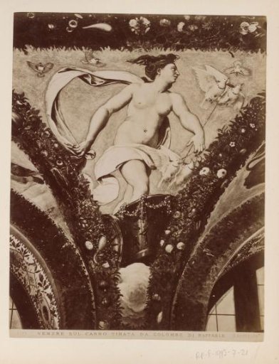 Photographic reproduction of fresco Venus proceeds to Olympus by Raphael in the Farnesina in Rome