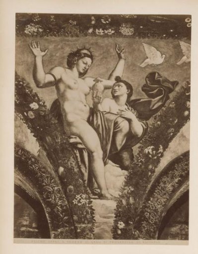 Photographic reproduction of fresco Psyche and Venus by Raphael in the Farnesina in Rome