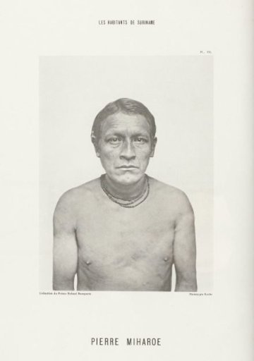 Portrait of Pierre Miharoe