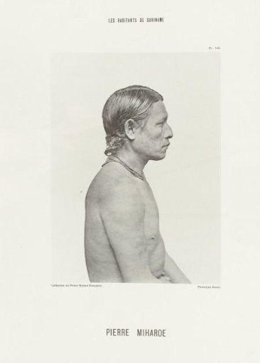 Portrait of Pierre Miharoe