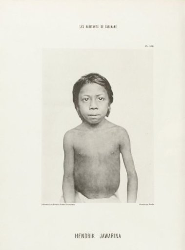 Portrait of Hendrik Jawarina