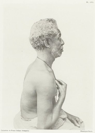 Portrait of Syntax