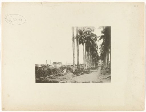 View of the farm of plantation Rosenburg and the Gemenelandsweg, Suriname
