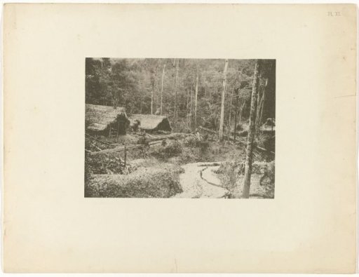 Gold mining in the rainforest by the company L. & F. de Jong, Suriname