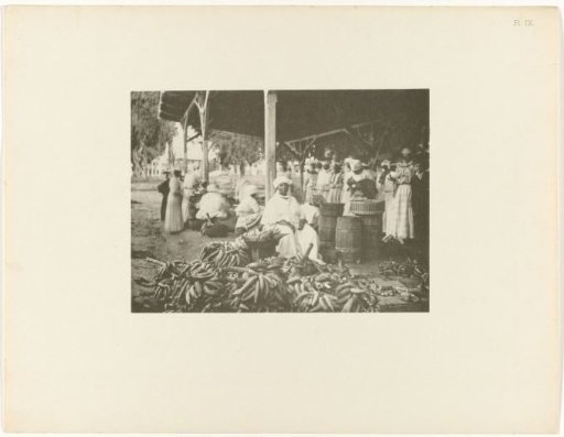 Portrait of an unknown woman on the covered market at the Heiligenweg, Paramaribo