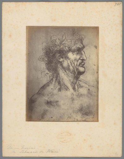 Photographic reproduction of a drawing of a male head by Leonardo da Vinci