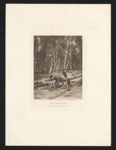 Peasant boy on a cart by the road