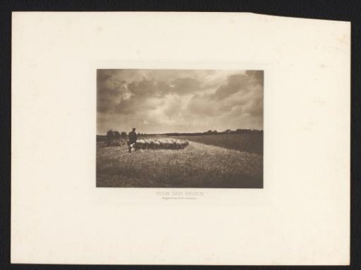 Shepherd with a flock