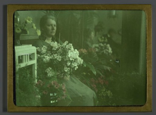 Portrait of Aagje, Seated Among Flowers