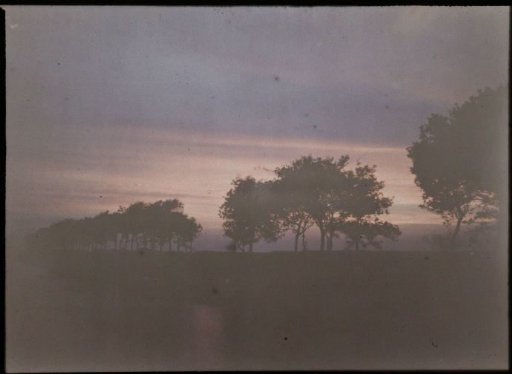 Sunset over a Landscape with Trees and Water