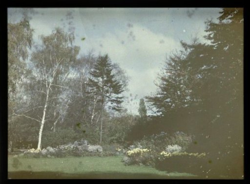 View in a Garden or Park