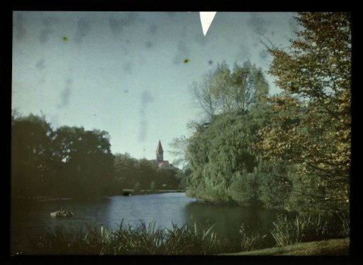 Pond in the Wilhelminapark in Utrecht