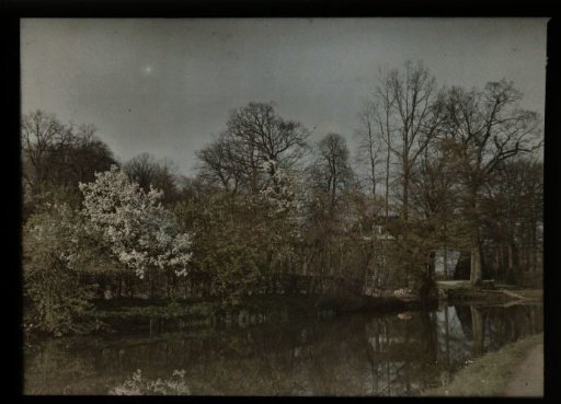 View of an orchard near a country house