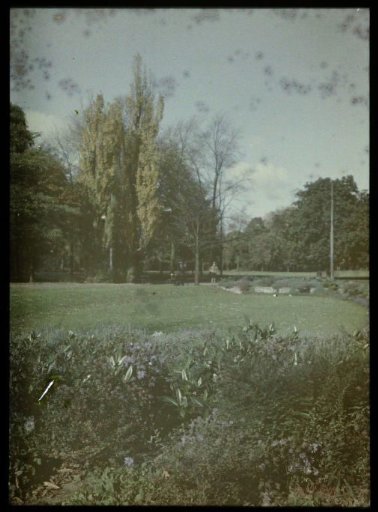 View in the Wilhelminapark, with plants in the foreground and a standing figure in the middle background