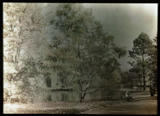 View in the Wilhelminapark