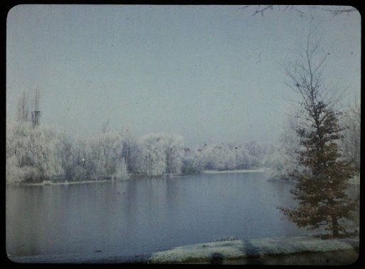 View of water, with snow-covered trees on both sides