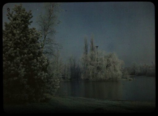 View of water, with snow-covered trees on both sides