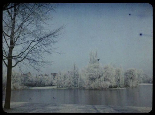 View of the Wilhelminavijver in Utrecht, with snow-covered trees on both sides and houses in the background to the left