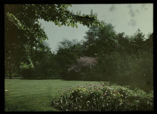 View in Wilhelminapark, Utrecht, with blooming tulips in the foreground to the left